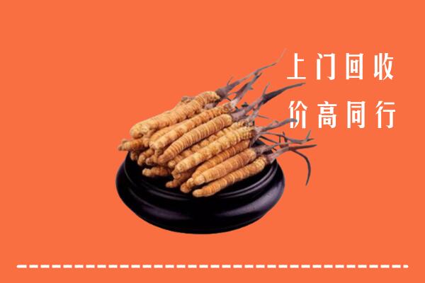 高价求购：阿合奇县回收散虫草