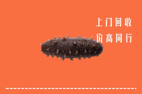 高价求购：阿合奇县回收海参
