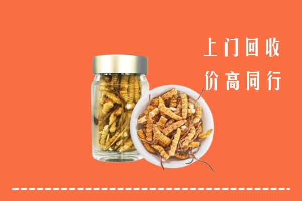 阿合奇县回收冬虫夏草